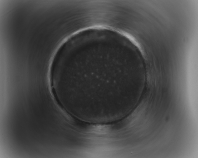 X0000090731327200707201401