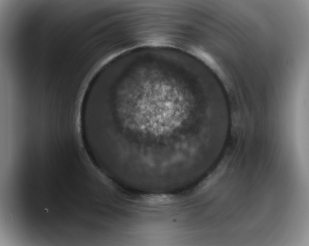 X0000090731331200707201401