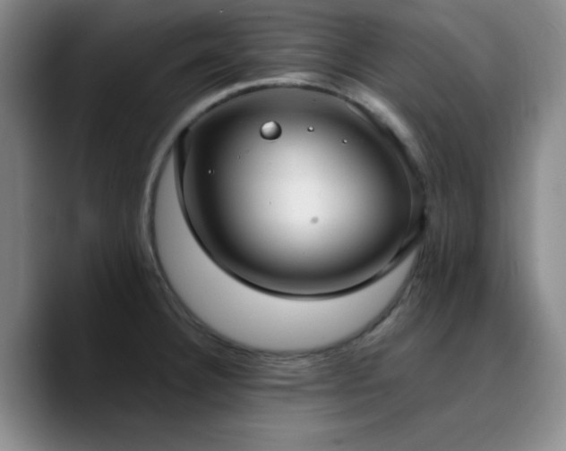 X0000090731332200707201401
