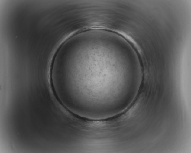 X0000090731333200707201401