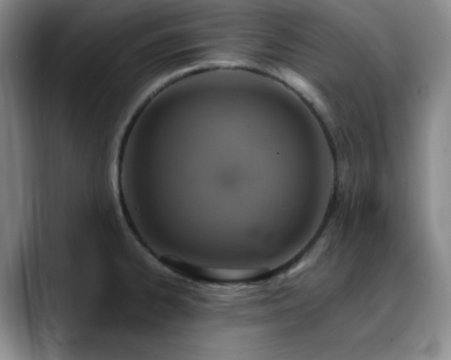 X0000090731334200707201401