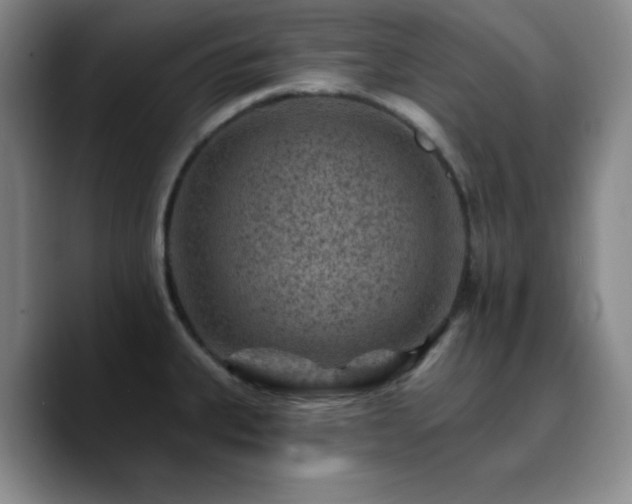 X0000090731335200707201401