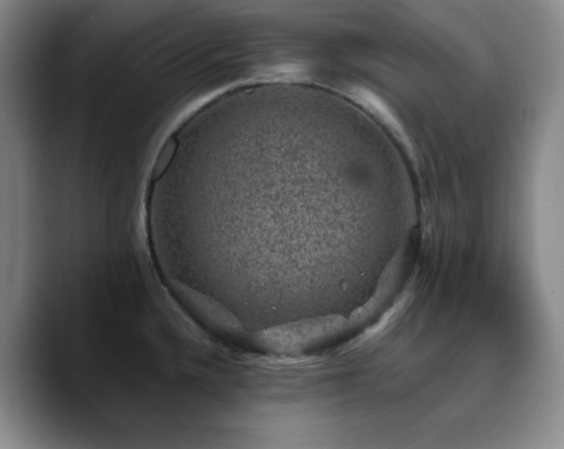 X0000090731336200707201401
