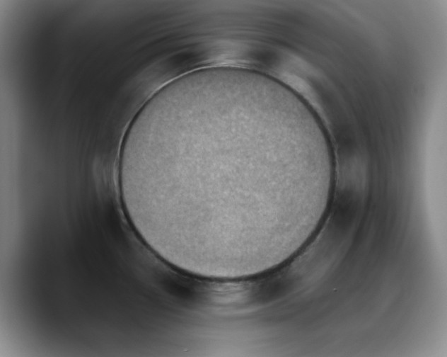 X0000090731338200707201401