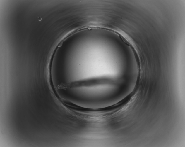 X0000090731341200707201401