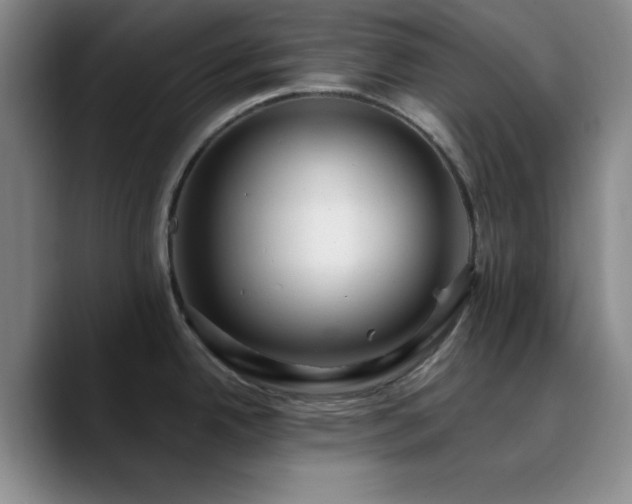 X0000090731342200707201401