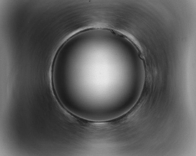 X0000090731343200707201401