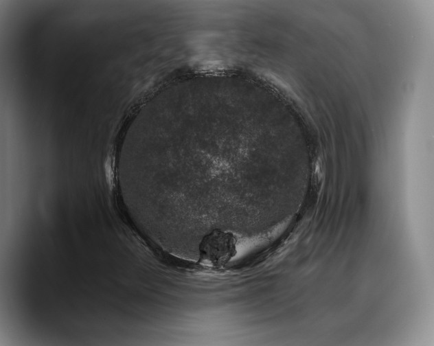 X0000090731348200707201400