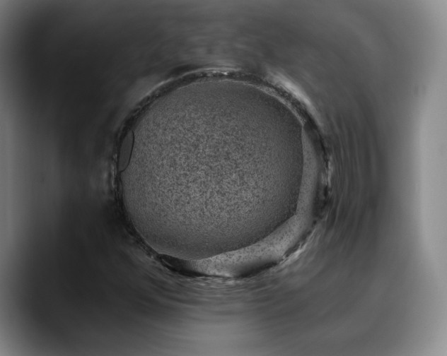 X0000090731352200707201400