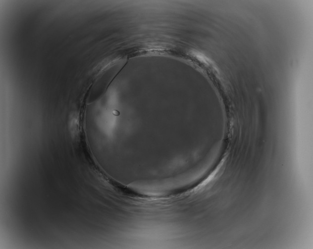 X0000090731353200707201400