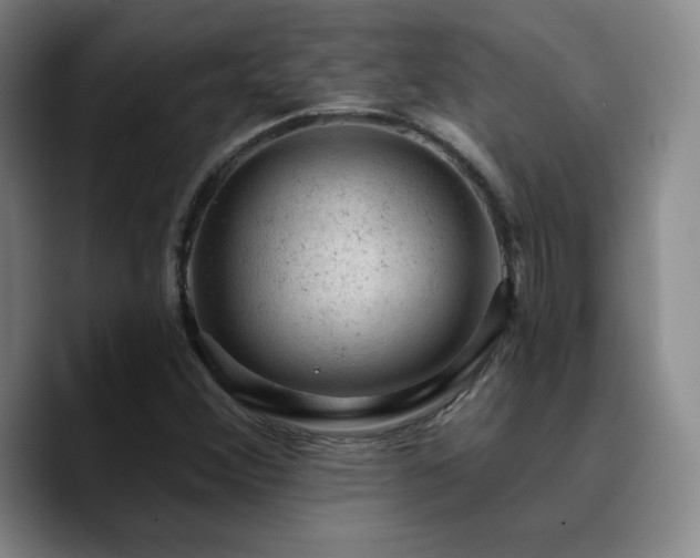 X0000090731356200707201400