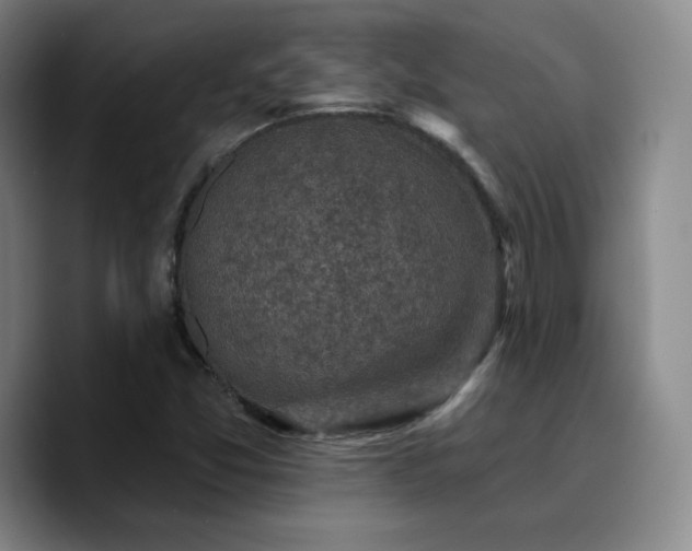 X0000090731357200707201400