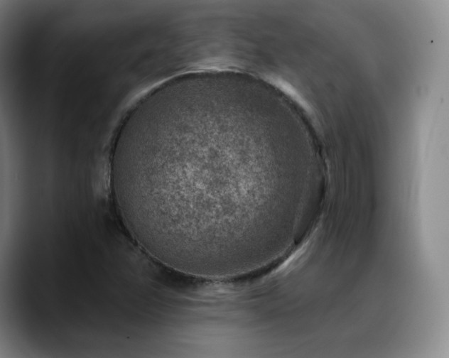 X0000090731358200707201400
