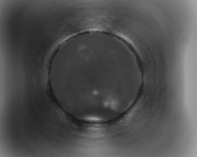 X0000090731359200707201400