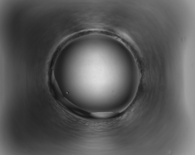 X0000090731360200707201400