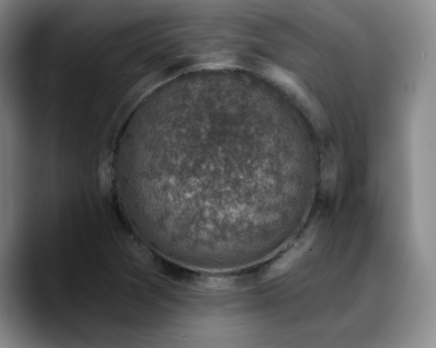 X0000090731361200707201400