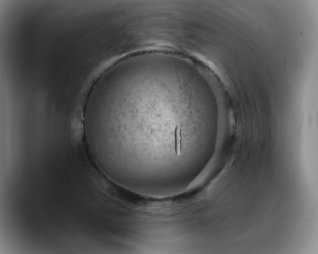 X0000090731363200707201400