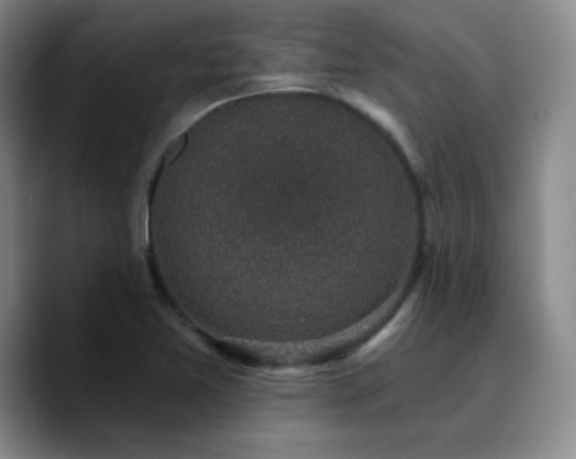 X0000090731365200707201400