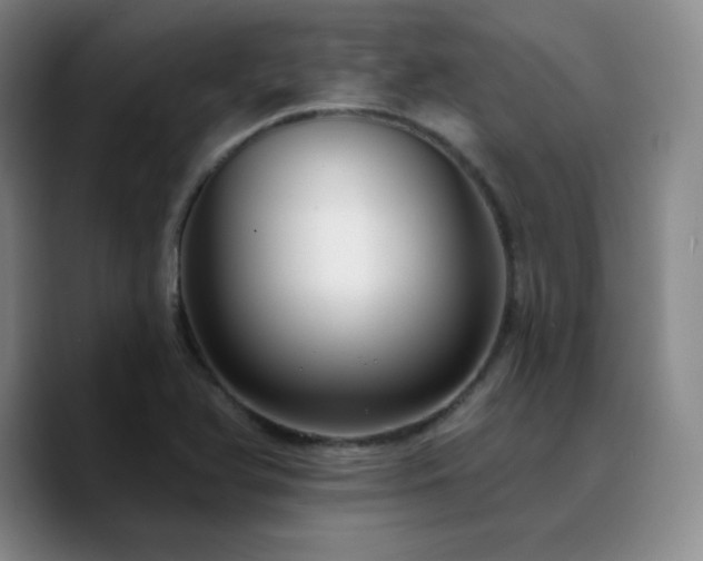 X0000090731366200707201400