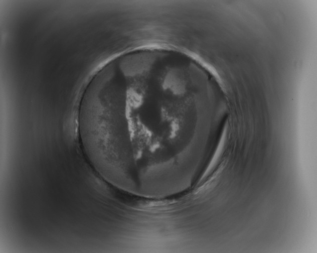 X0000090731367200707201400