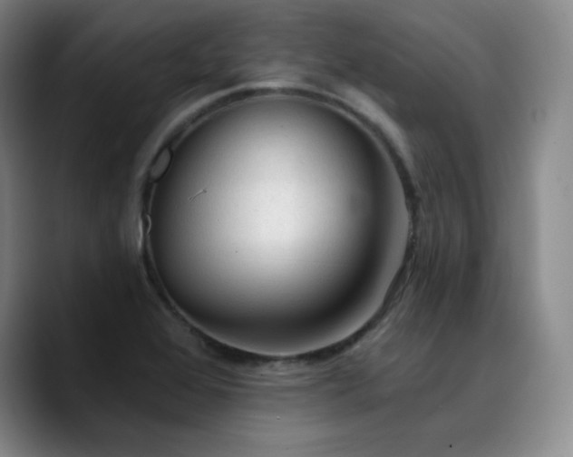 X0000090731368200707201400
