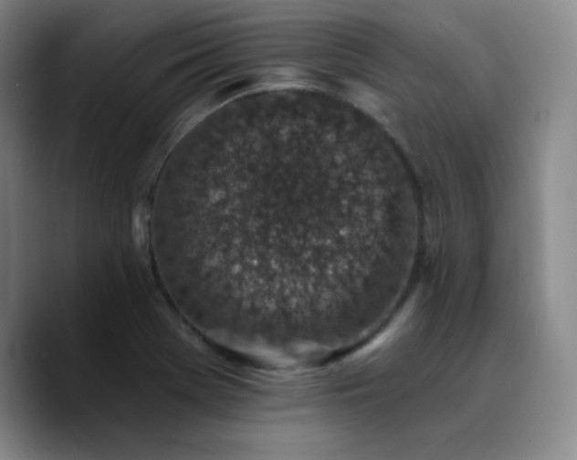 X0000090731369200707201400