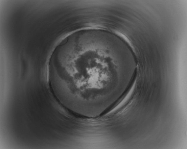 X0000090731371200707201400