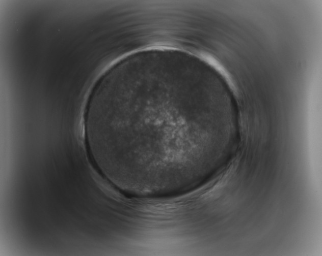 X0000090731372200707201400