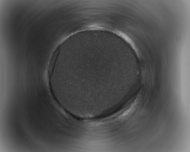 X0000090731373200707201400