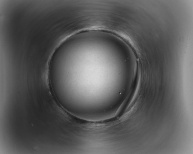 X0000090731374200707201400