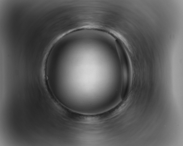 X0000090731375200707201400