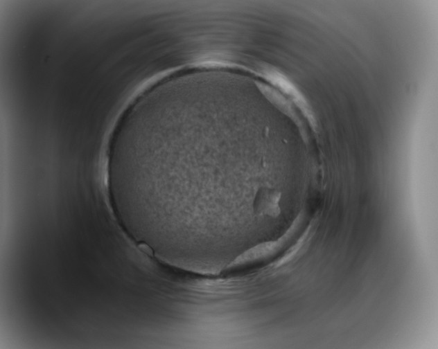 X0000090731376200707201400