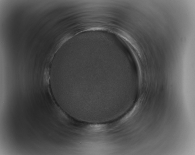 X0000090731377200707201400