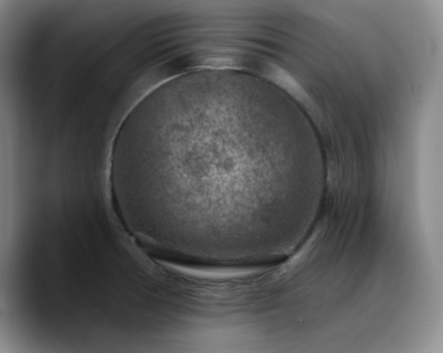 X0000090731378200707201400