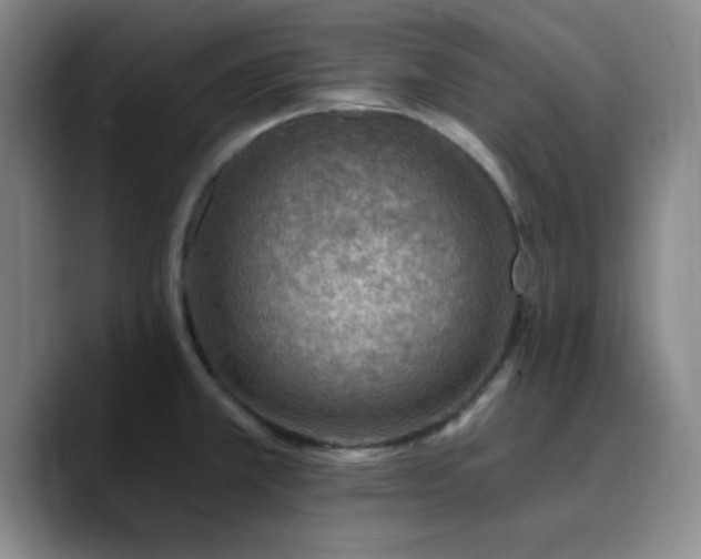 X0000090731381200707201400