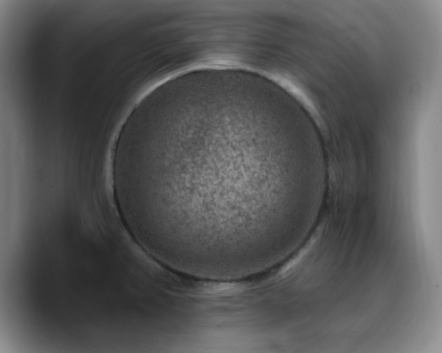 X0000090731382200707201400