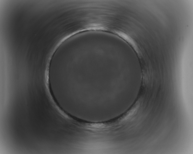 X0000090731383200707201400