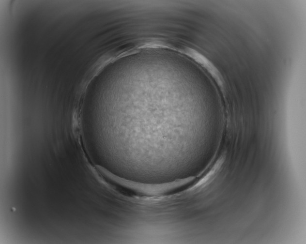 X0000090731385200707201400