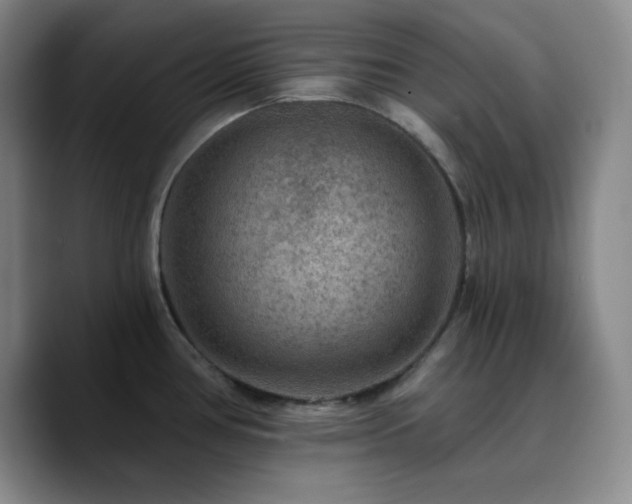 X0000090731386200707201400