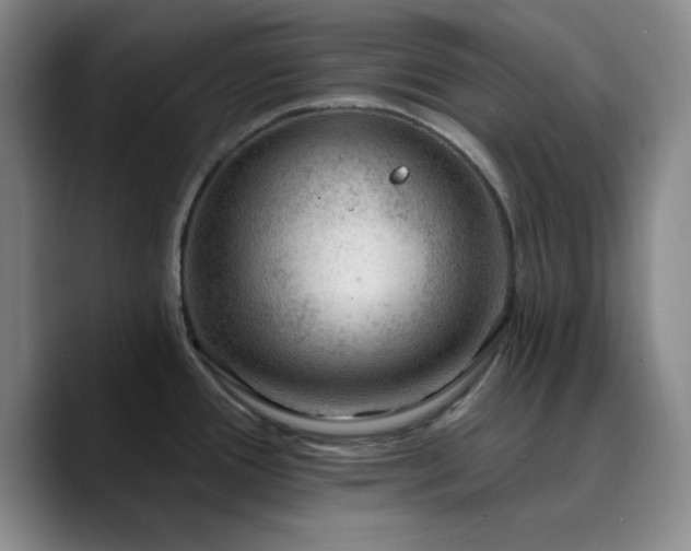 X0000090731388200707201400