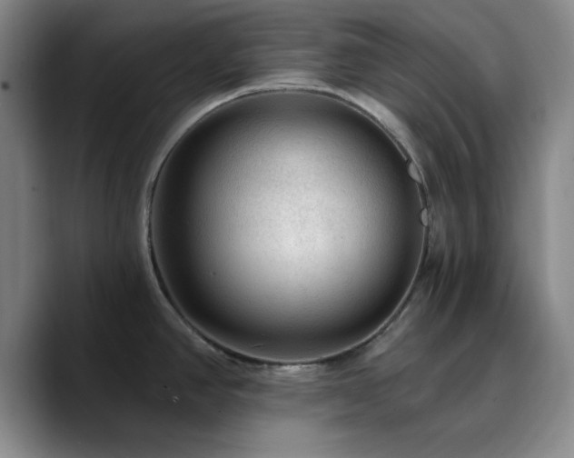 X0000090731390200707201400