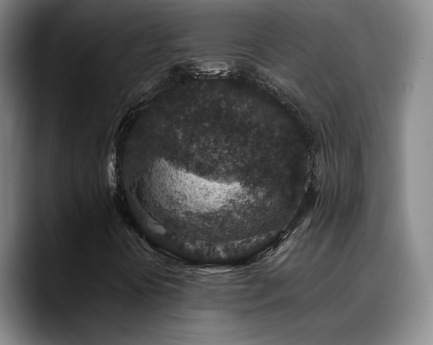 X0000090731394200707201359
