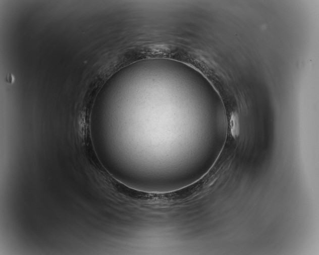 X0000090731395200707201359
