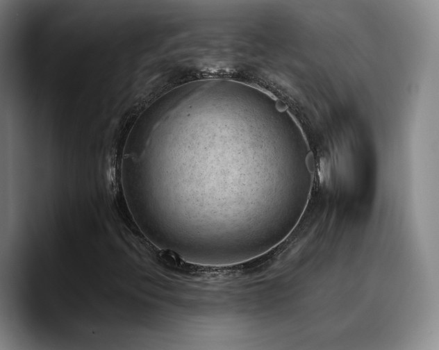 X0000090731396200707201359