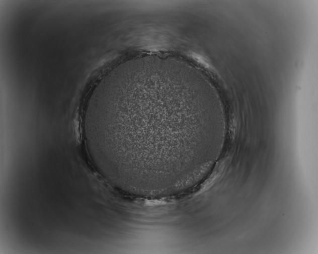 X0000090731398200707201359