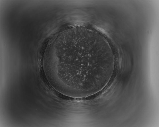 X0000090731399200707201359
