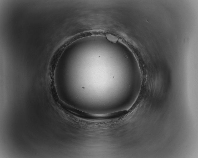 X0000090731400200707201359