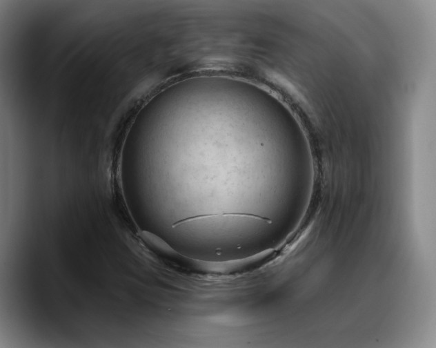 X0000090731403200707201359