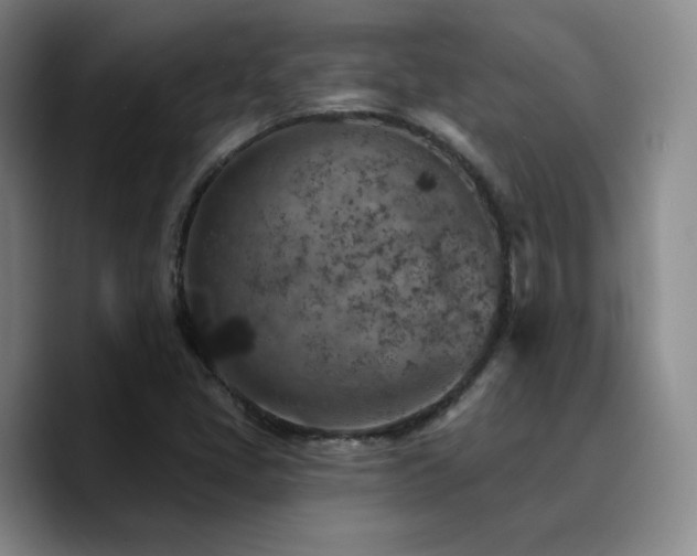 X0000090731405200707201359