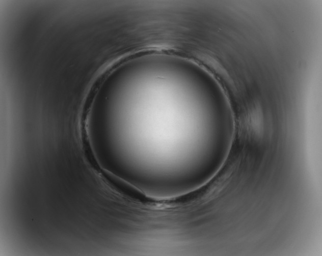 X0000090731412200707201359
